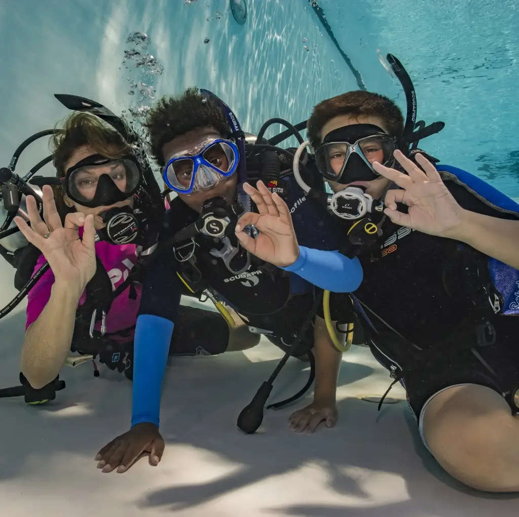 PADI Seal Team Course 