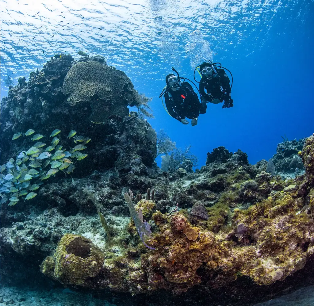 PADI Scuba Diver