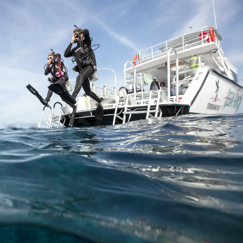 PADI Boat Diver
