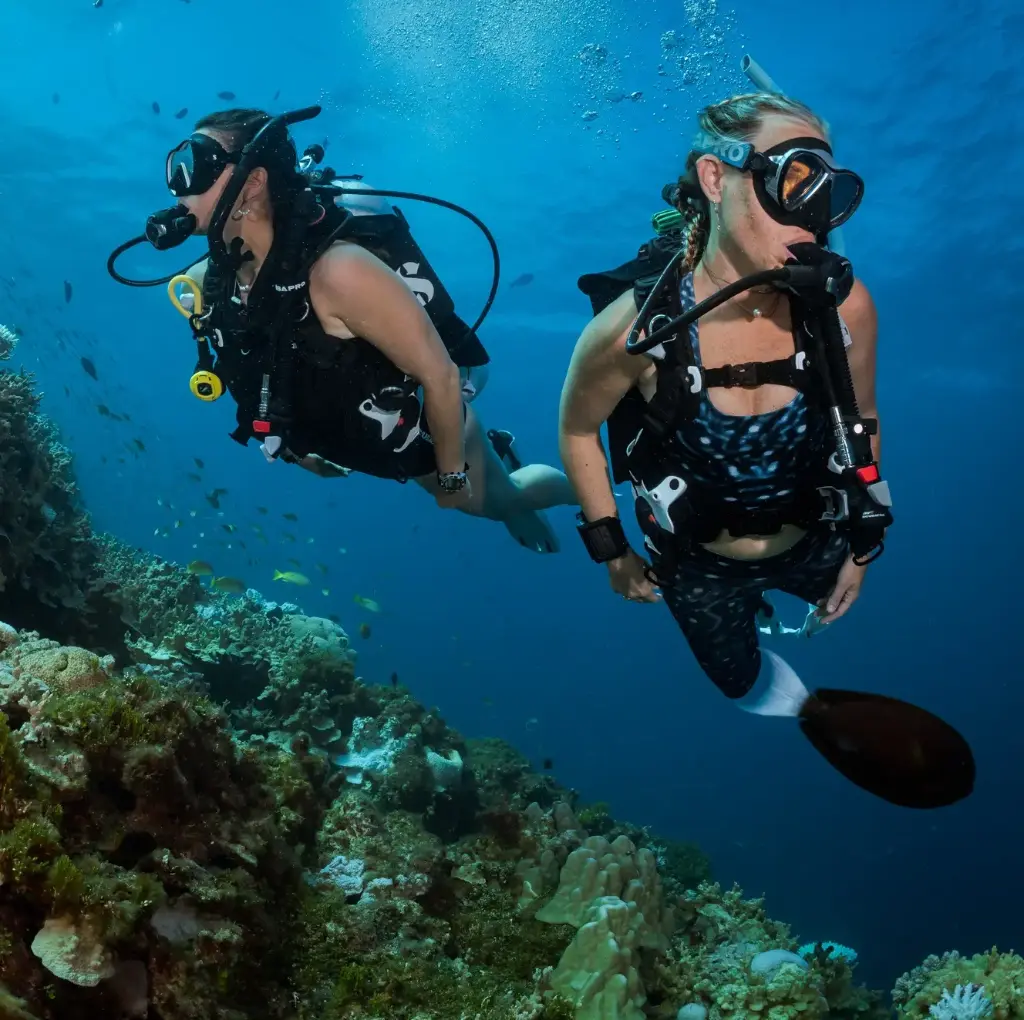PADI MSDT (5 Instructor Specialties)