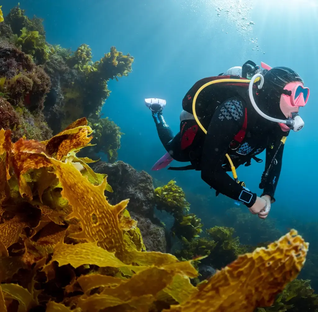 PADI Master Scuba Diver