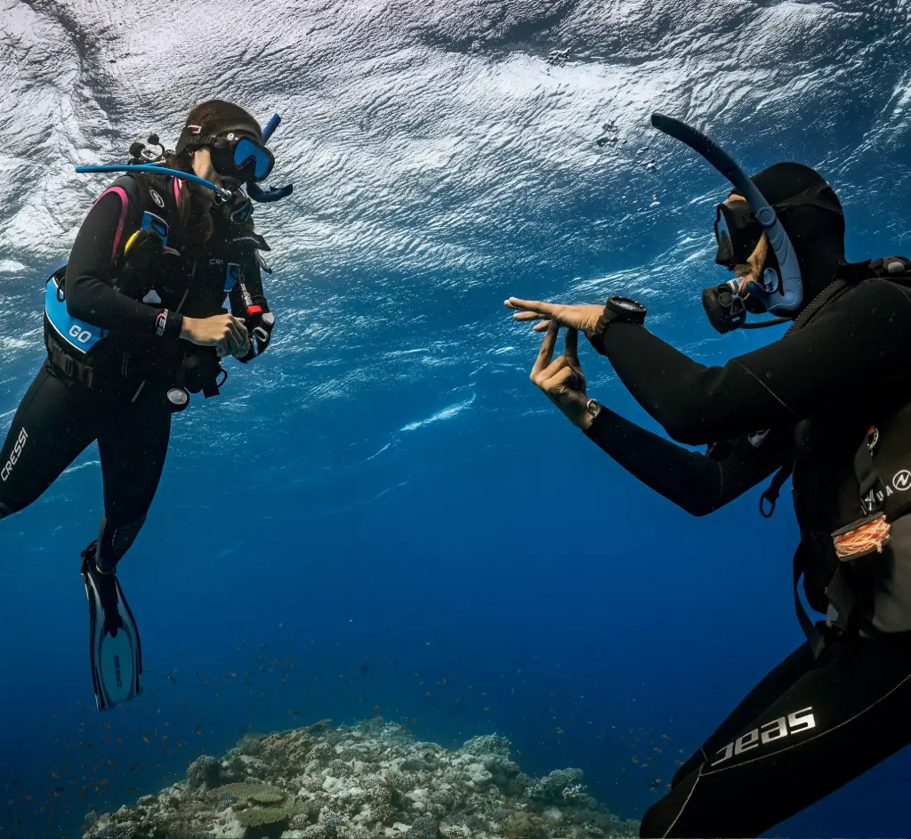 PADI Instructor Development Course (IDC)