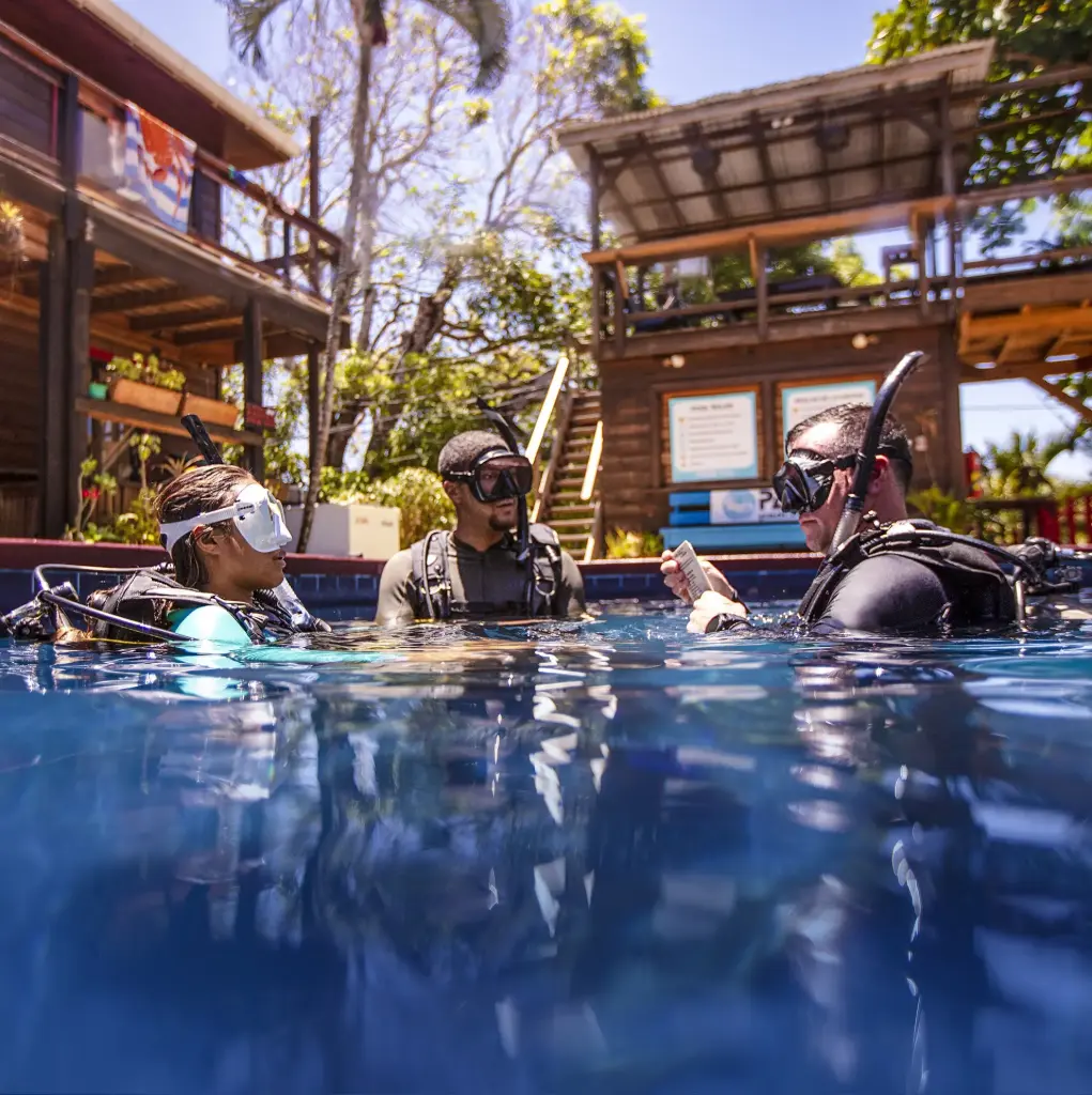 PADI IDC Staff Instructor