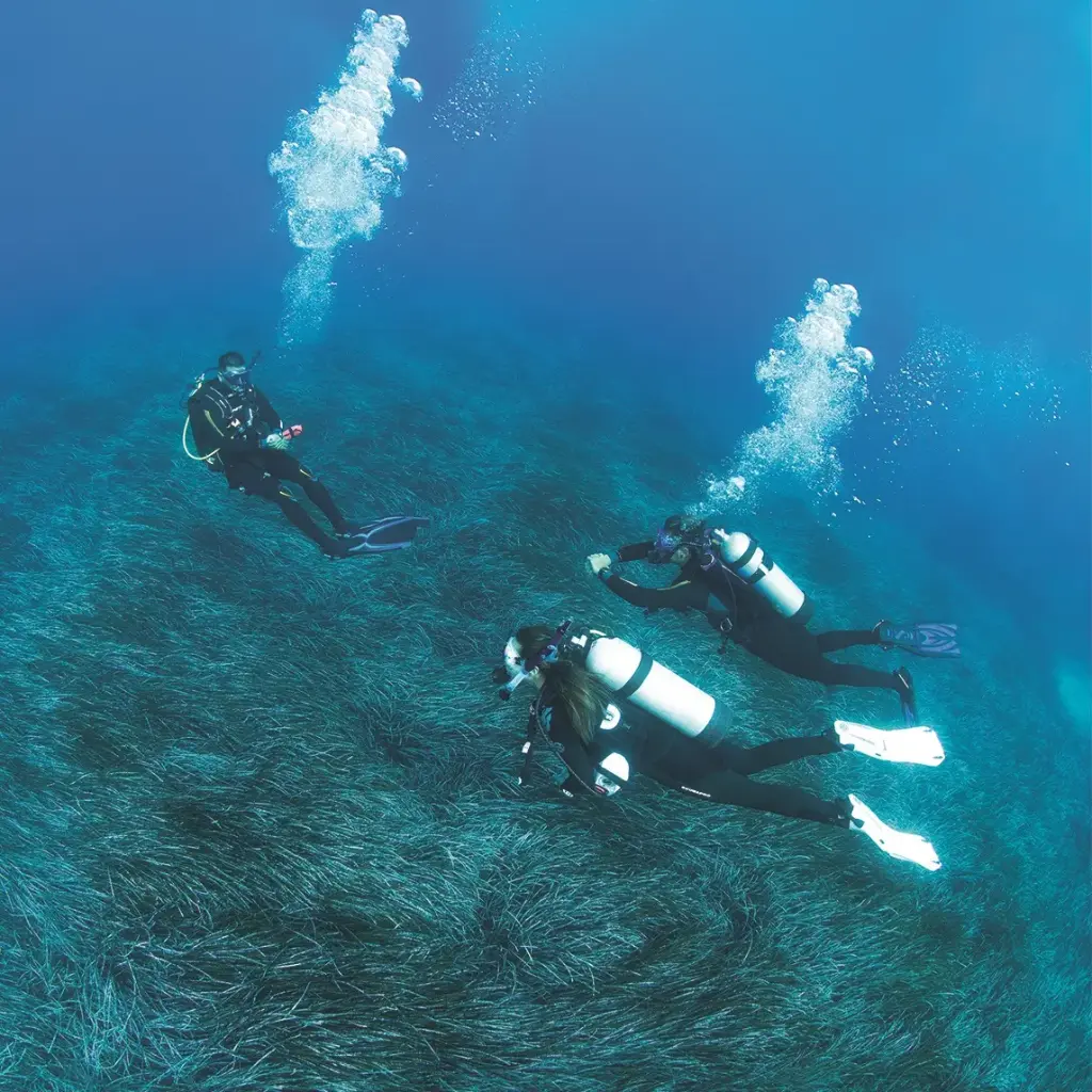 PADI Divemaster Course