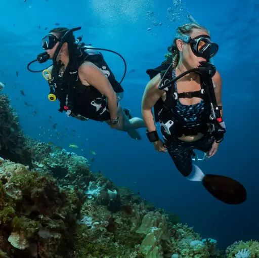 PADI MSDT (5 Instructor Specialties)