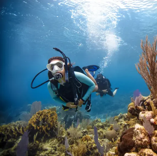 PADI Open Water Diver Course