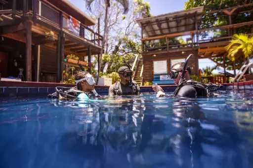 [LifeChanger-ProCombo] PADI Life Changer Pro Combo