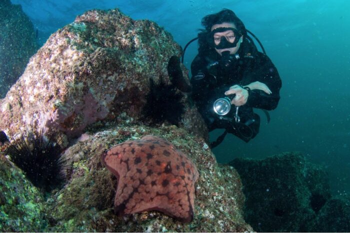 PADI Adventure Diver