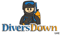 Divers Down logo website retina