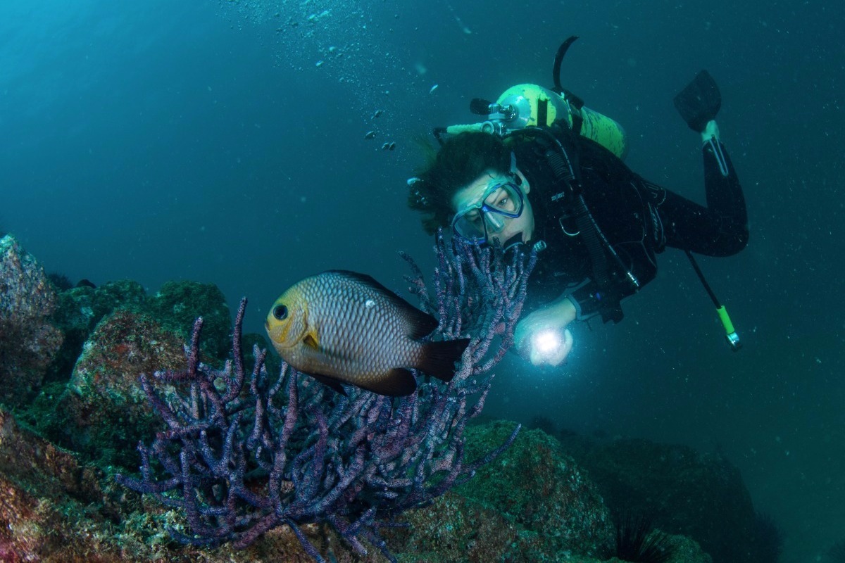 Dubai Wreck Diving Divers Down Uae