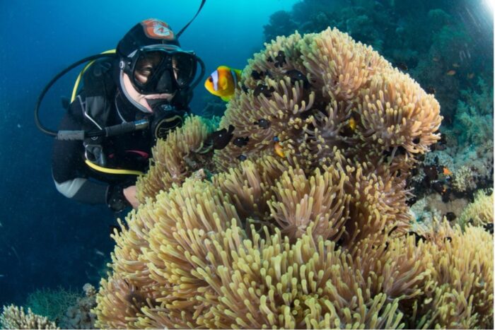 PADI Master Scuba Diver Trainer Prep Program