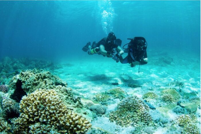 PADI Open Water Diver