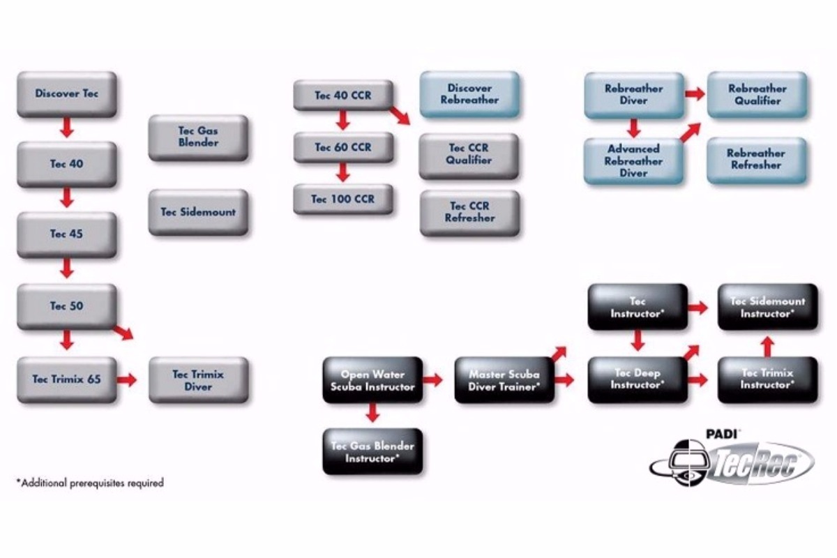 Padi Qualifications Chart