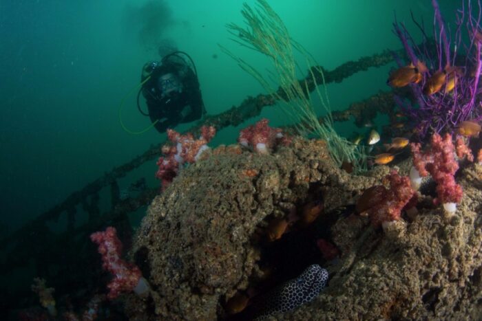 Wreck Diver