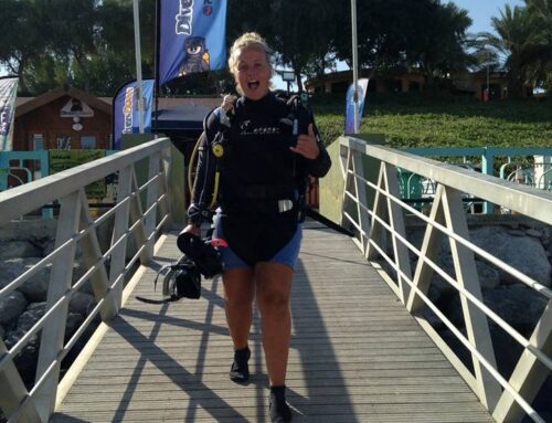 Become a PADI Instructor